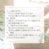 画像233
