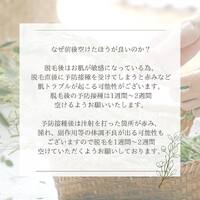 画像247