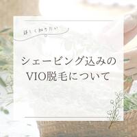 画像263