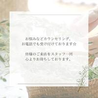 画像269