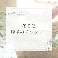 画像271