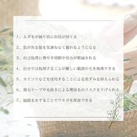 画像293