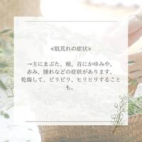 画像329