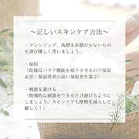 画像331