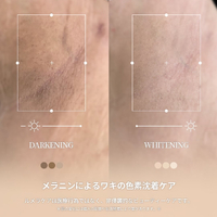 画像527